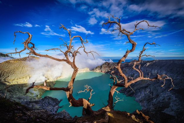 Blue Fire yang mendunia